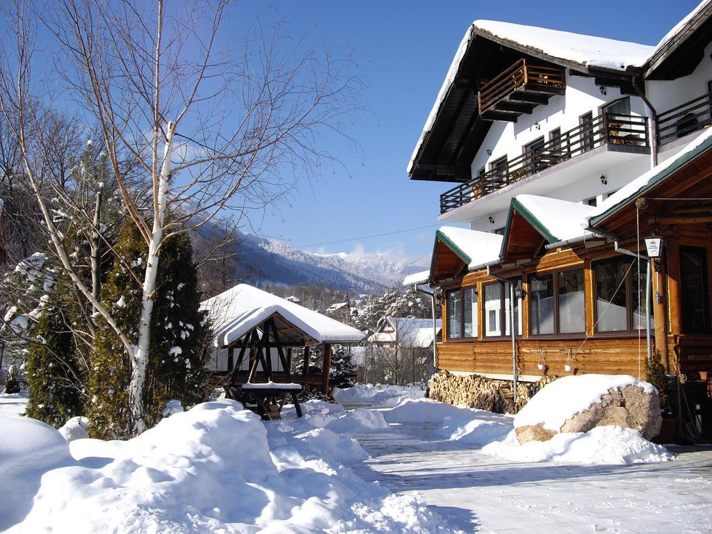 Villa Katharina Bran Bran  Dış mekan fotoğraf